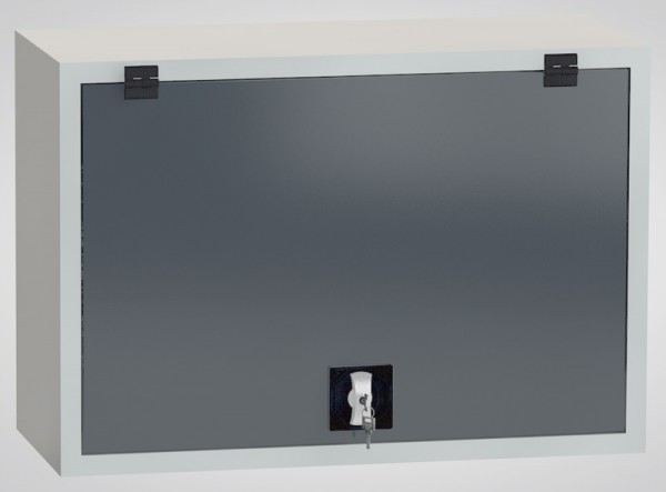 Haengeschrank-Werkstattschrank-Wandschrank-SFN-GI.jpg